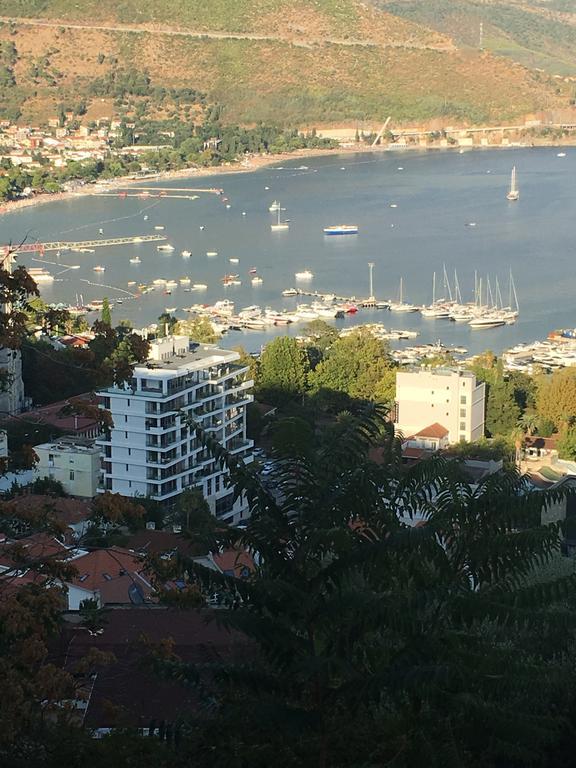 Djuric * Budva